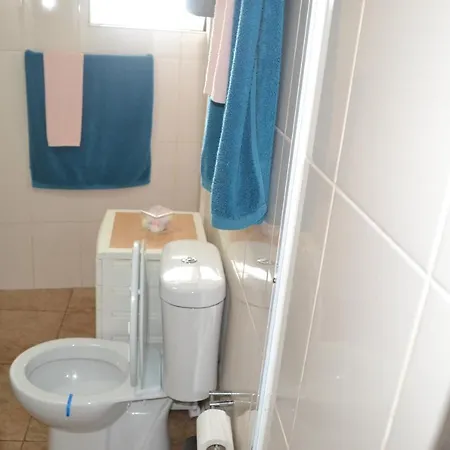 Casinha De Muda Da Feteira *