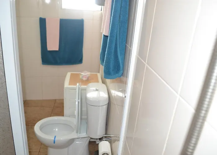 Casinha De Muda Da Feteira *